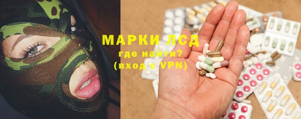 шишки Корсаков