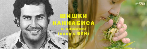 шишки Корсаков