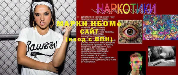 шишки Корсаков