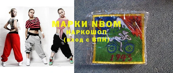 шишки Корсаков