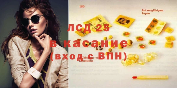 шишки Корсаков