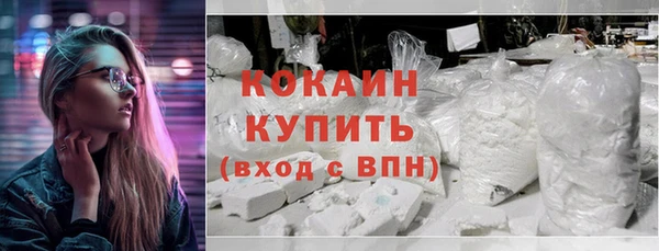 шишки Корсаков